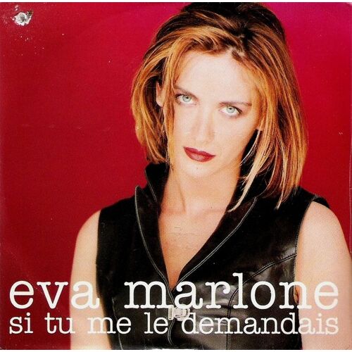 Si Tu Me Le Demandais