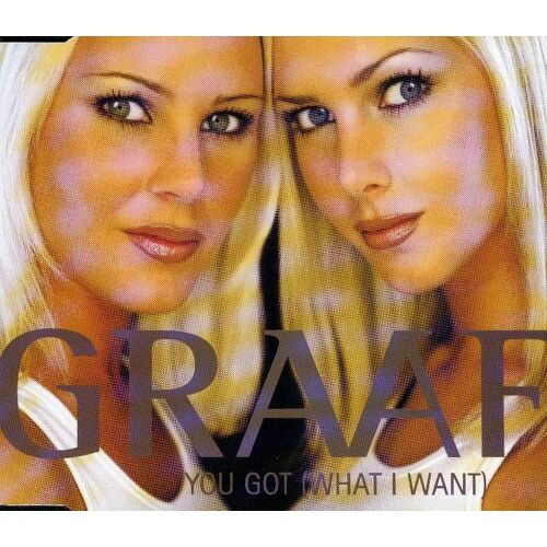 You Got (What I Want)