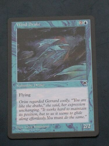 Wind Drake - Tempête - Vo