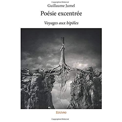 Poésie Excentrée