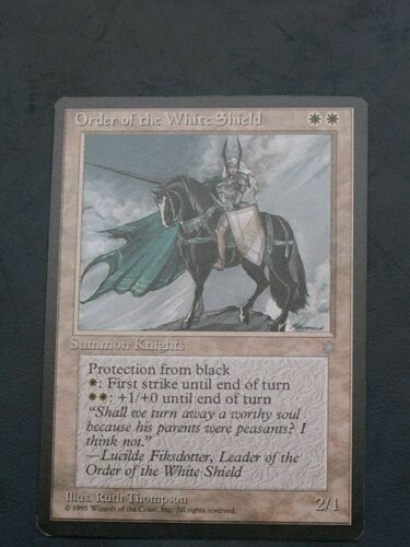 Order Of The White Shield - Ice Age - Vo