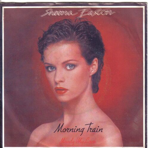Morning Train