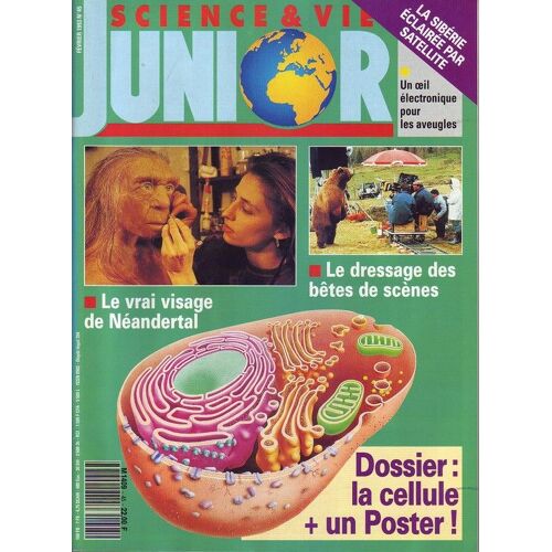 Science Et Vie Junior N° 45 : Dossier : La Cellule