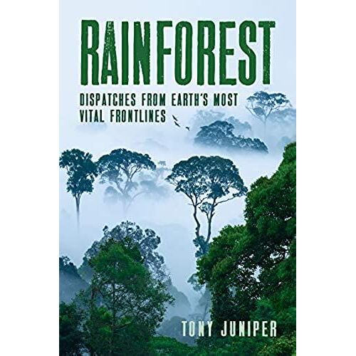 Rainforest