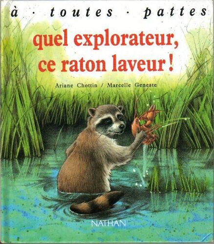 Quel Explorateur, Ce Raton Laveur!