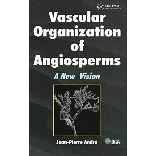 Vascular Organization Of Angiosperms