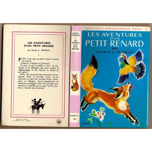 Les Aventures D'un Petit Renard