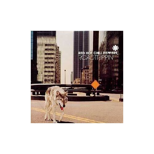 Roadtrippin 2 Tracks Card Sleeve