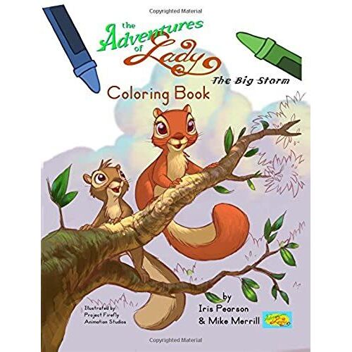 The Adventures Of Lady: The Big Storm Coloring Book