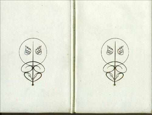 Journal D Une Femme En Blanc (Illustrations L Baudrier 2 Volumes)