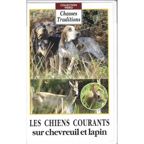 Les Chiens Courants Sur Chevreuil Et Lapin