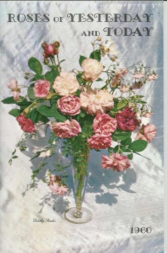 Roses Of Yesterday And Today
