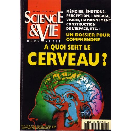 A Quoi Sert Le Cerveau ?