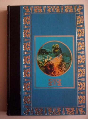 Un Trésor Englouti.