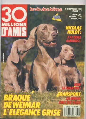 30 Millions D'amis  N° 31 : Braque De Weimar L'élégance Grise