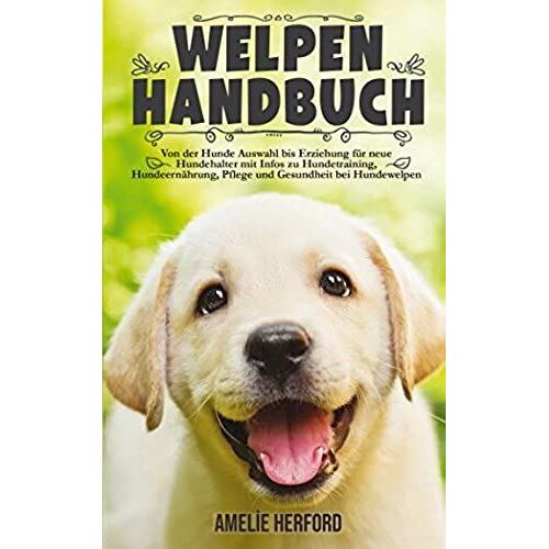 Welpen Handbuch: Von Der Hunde Auswahl Bis Erziehung Für Neue Hundehalter (Mein Erster Welpe, Hundeerziehung, Welpenerziehung, Hundetraining)