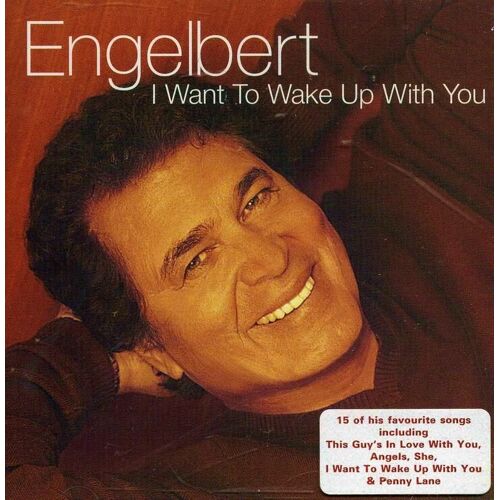 I Want To Wake Up With You