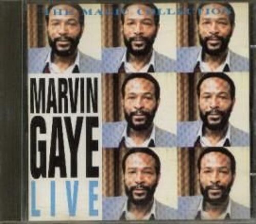 Marvin Gaye Live In Indianapolis At The Pulis Speedway