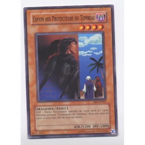 Espion Des Protecteurs Du Tombeau  [Magicien/Effet] Dr1-Fr007