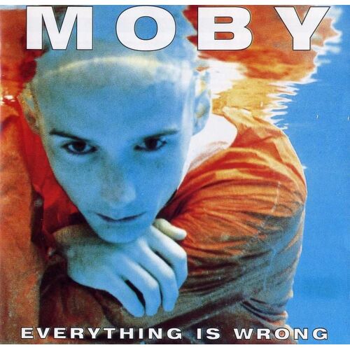 Everything Is Wrong
