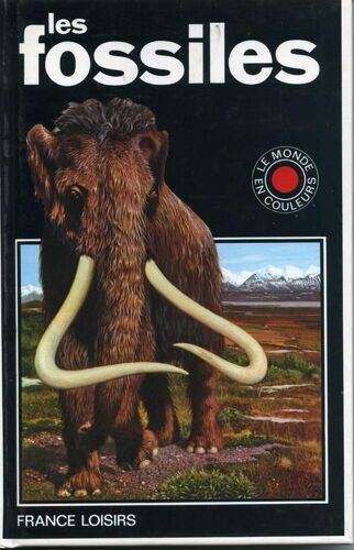 Les Fossiles