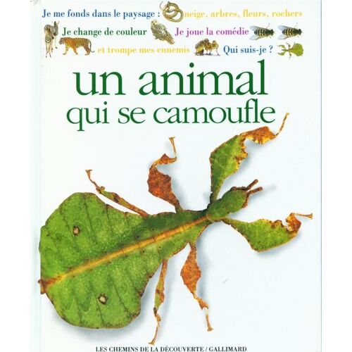 Qui Suis-Je ? Un Animal Qui Se Camoufle