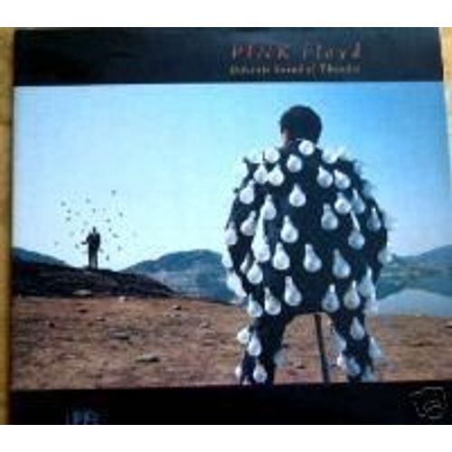 Delicate Sound Of Thunder