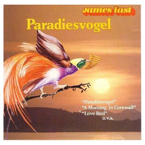 Paradiesvogel