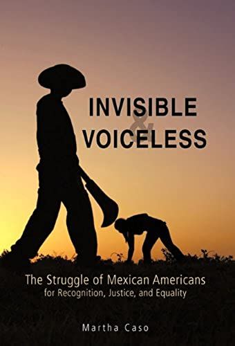 Invisible And Voiceless