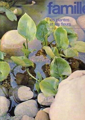 Les Plantes Et Les Fleurs