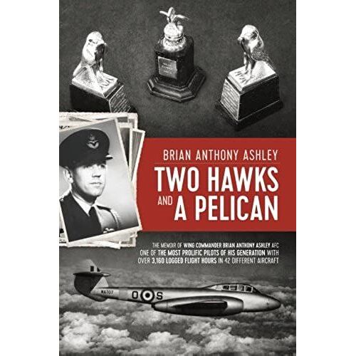 Two Hawks And A Pelican