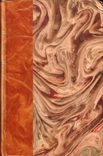 La Petite Paroisse (Roman)