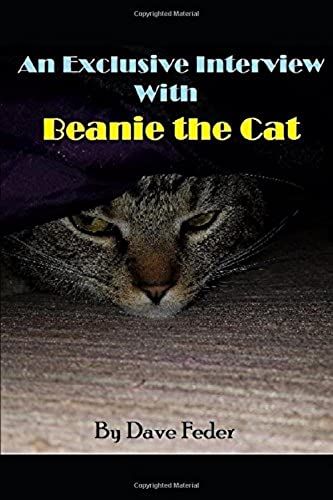 An Exclusive Interview With Beanie The Cat