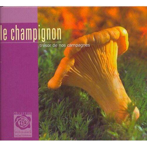 Le Champignon Trésor De Nos Campagne