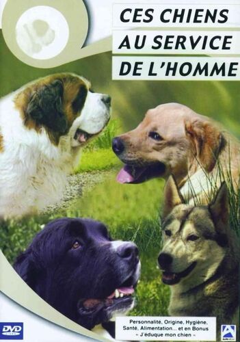 Ces Chiens Au Service De L'homme