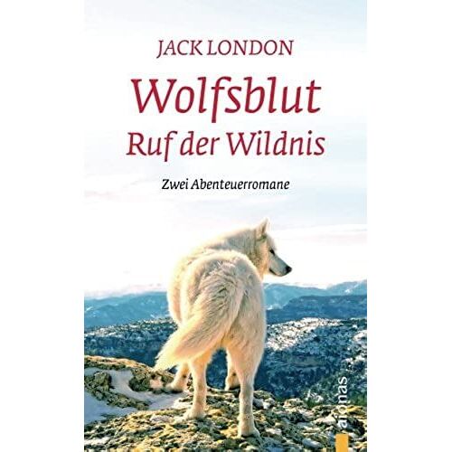 Wolfsblut / Ruf Der Wildnis: Jack London. Abenteuerromane