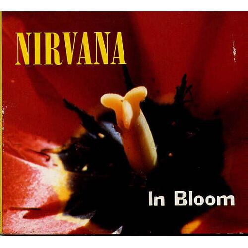 In Bloom