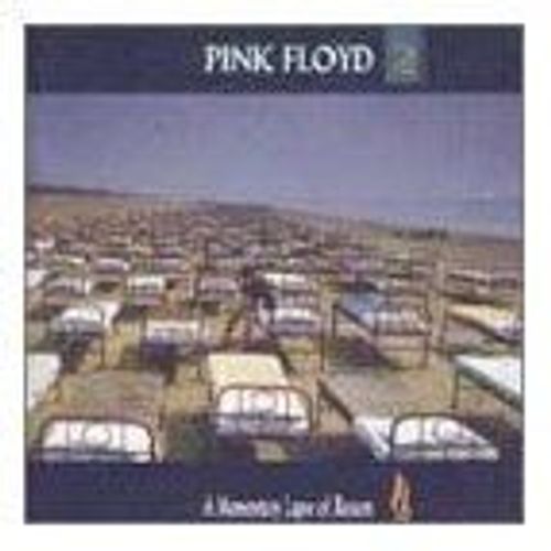 A Momentary Lapse Of Reason