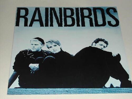 Rainbirds