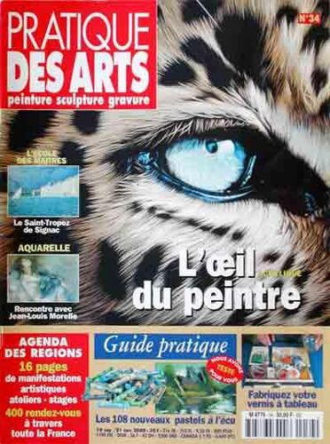 Pratique Des Arts N° 34 : L'oeil Du Peintre