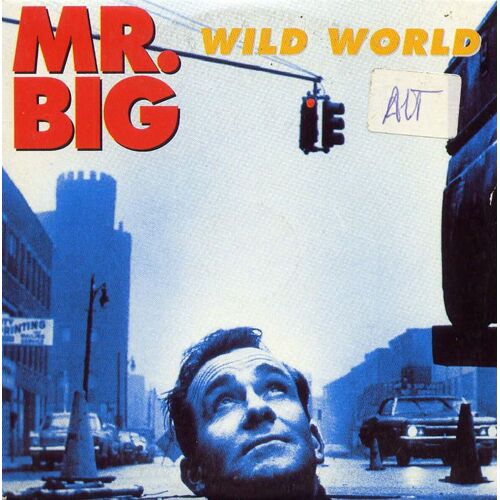 Wild World