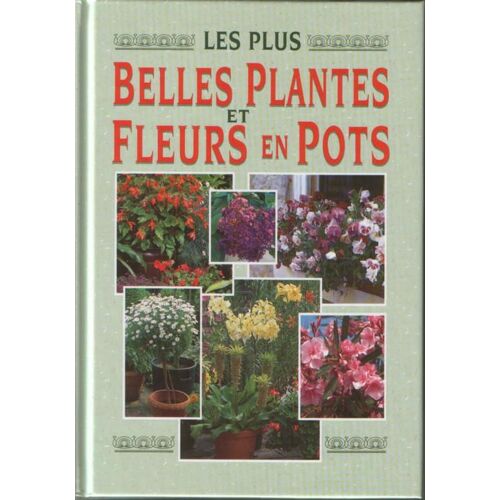 Les Plus Belles Plantes Et Fleurs En Pots