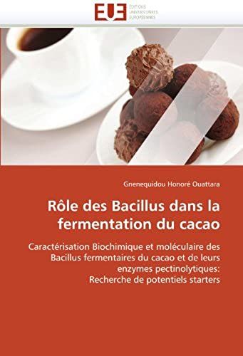 Rôle Des Bacillus Dans La Fermentation Du Cacao