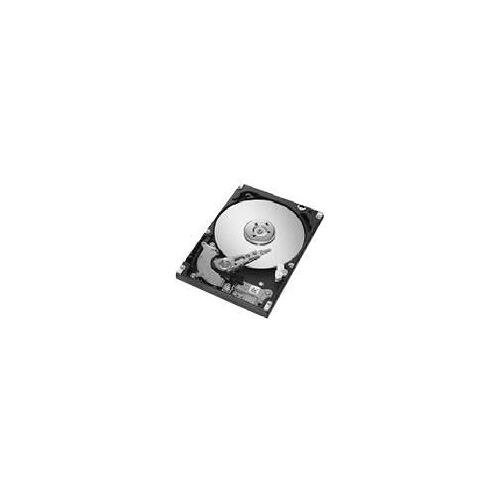 Seagate Momentus 42 ST94019A - Disque dur - 40 Go - interne - 2.5" - ATA-100 - 4200 tours/min - mémoire tampon : 2 Mo