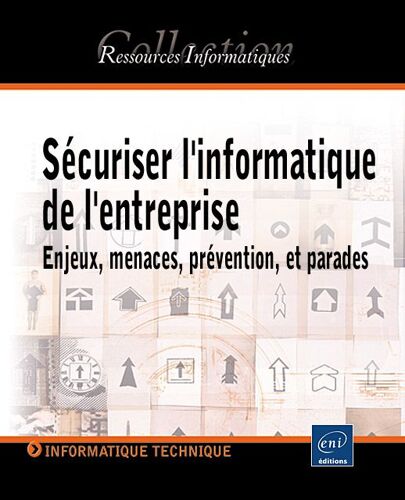 Sécuriser L'informatique De L'entreprise - Enjeux, Menaces, Prévention Et Parades