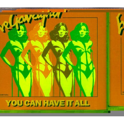 You Can Have It All (Feat Boy George)