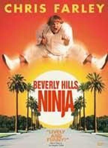 Beverly Hills Ninja