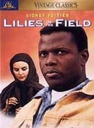 Lilies Of The Field