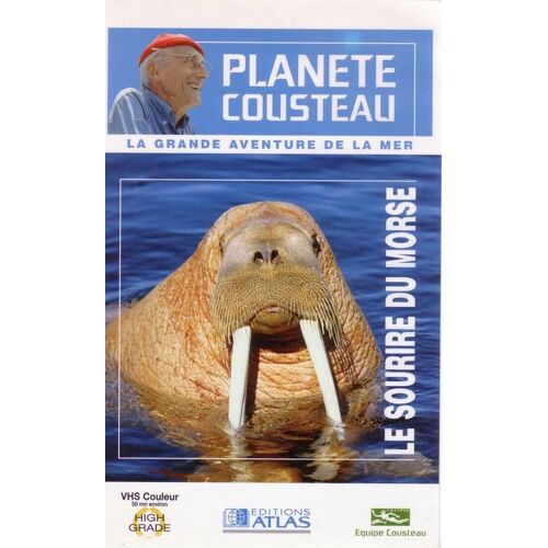 Le Sourire Du Morse