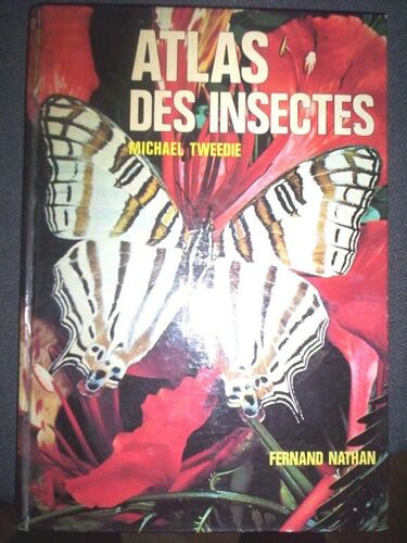 Atlas Des Insectes